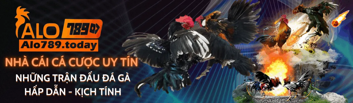 banner schologic.in.net